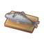 Fish on a Board
