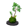 Moss ball