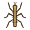 Walking Stick NH Icon.png