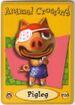 Pigleg