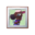Reneigh's Photo PC Icon.png
