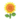 Yellow Sunflower PC Icon.png