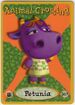Petunia