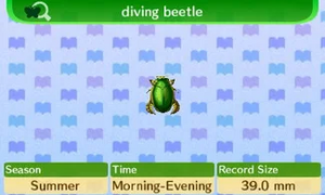 NL Encyclopedia Diving Beetle.png