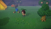 Nintendo Music ACNH Island Life Orientation 5 - Rainy.jpg