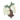 White Wisteria PC Icon.png