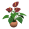Anthurium Plant (Berry Red) NH Icon.png