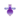 Purple Lanternbee PC Icon.png