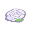 white rose rug