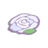 white rose rug
