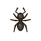Ant NH Icon.png