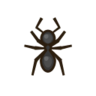 Ant NH Icon.png