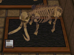 CF Mammoth Museum.png
