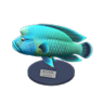 Napoleonfish model