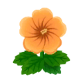 Orange Hibiscus PC Icon.png