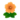 Orange Hibiscus PC Icon.png