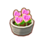 Potted Pink H. Roses PC Icon.png