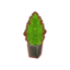 Cypress Plant PC Icon.png