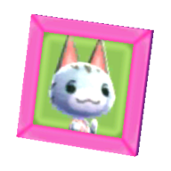 Lolly's pic