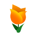 Orange Tulips PC Icon.png