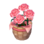Pink Carnations NL Model.png