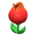 Tulip surprise box's Red variant