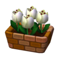 White Tulips NL Model.png