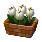 White Tulips NL Model.png