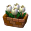 White Tulips NL Model.png