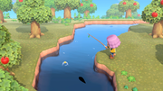 NH Press Sep 2019 Fishing.png