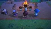 Nintendo Music ACNH Island Life Orientation 4 - Firelit Night.jpg