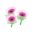 Pink-Windflower Plant NH Icon.png