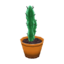 Tall Cactus WW Model.png