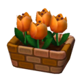 Orange Tulips NL Model.png