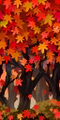 Autumn Wall NL Texture.png