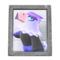 Quinn's Photo (Silver) NH Icon.png