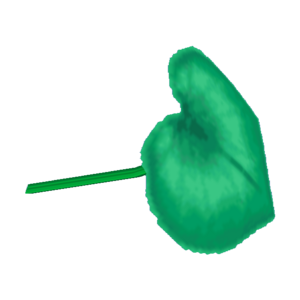 Leaf Umbrella CF Model.png