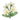 White Jasmine PC Icon.png