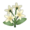 White Jasmine PC Icon.png