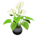 Anthurium Plant (White) NH Icon.png