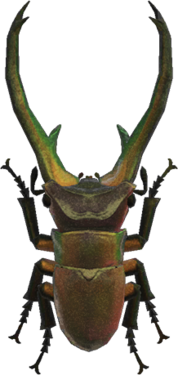 In-game image of cyclommatus stag