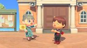 NH Custom Flag 1.9.0 Promo.jpg