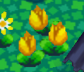 PG Yellow Tulips.png