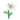 White Glasslilly PC Icon.png