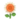 White Sunflower PC Icon.png