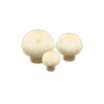 round mushroom