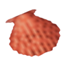 lions paw