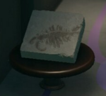 NH Anomalocaris Museum.png