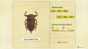 NH Critterpedia Giant Water Bug Southern Hemisphere.jpg
