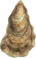 Oyster NH.png